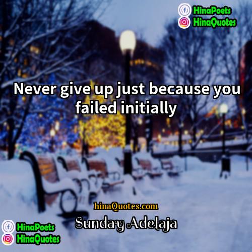 Sunday Adelaja Quotes | Never give up just because you failed